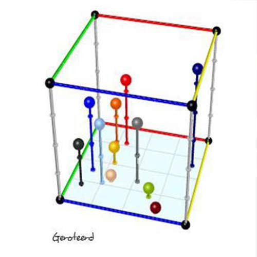 Transitiefocus voor organisaties Transitiefocus voor organisaties